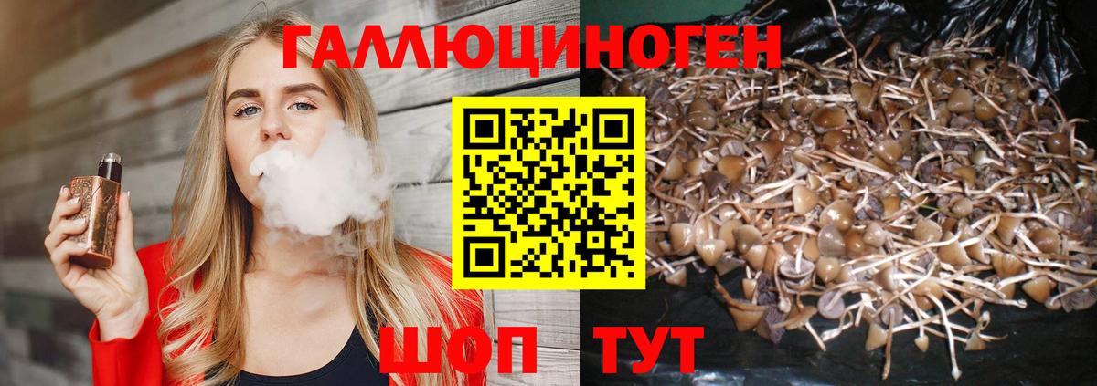 Щёлково  Псилоцибиновые грибы Psilocybine cubensis  Вход с VPN 